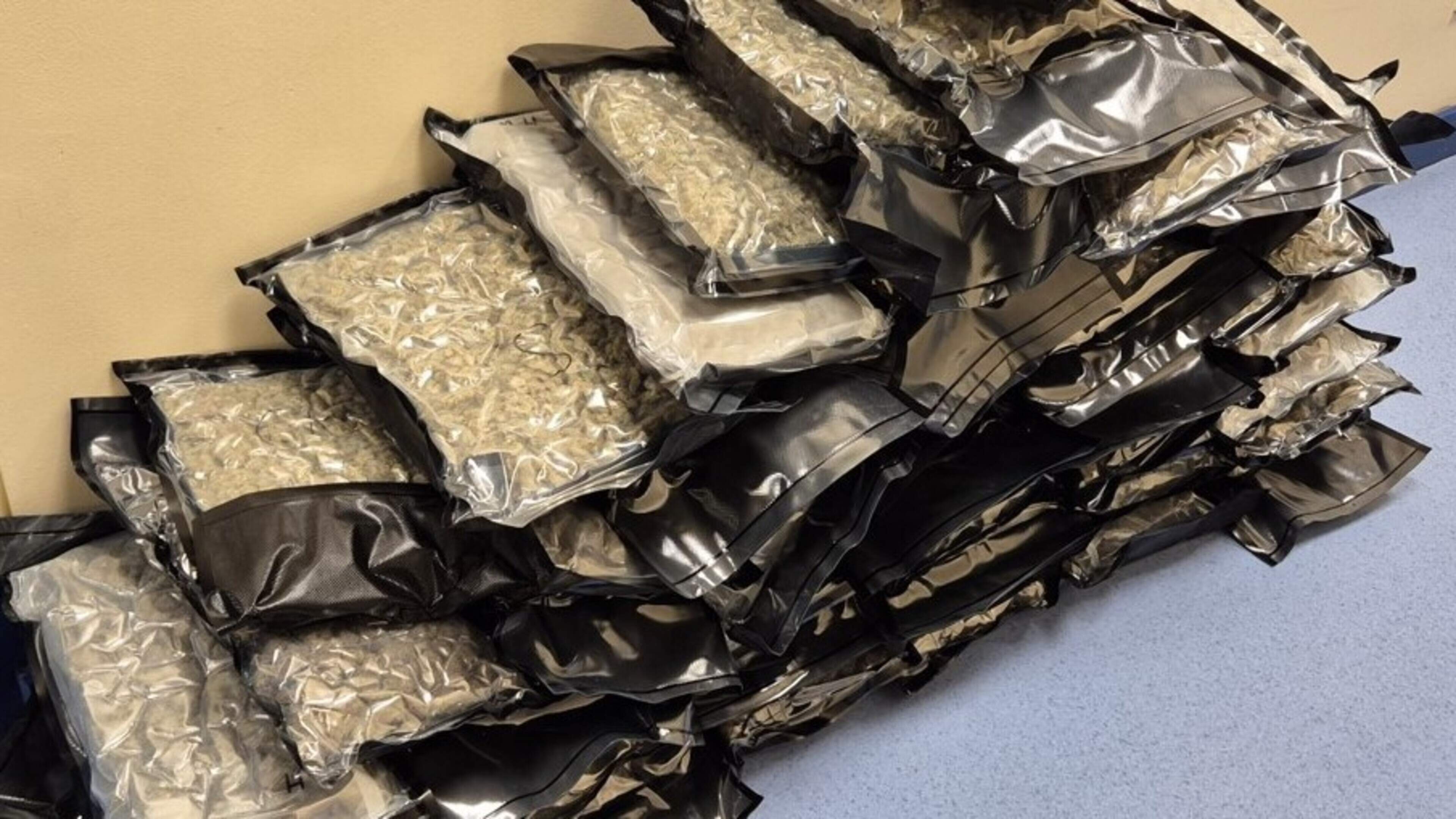 €640,000 worth of cannabis seized in Co Kildare operation